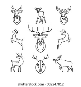 Jumping and standing deers, moose, antlers and horns, stuffed deer heads and scull. Thin line art icons set. Modern black symbols isolated on white for infographics or web use.