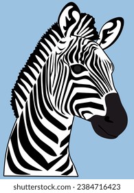 Jumping striped African zebra. Vector illustration.