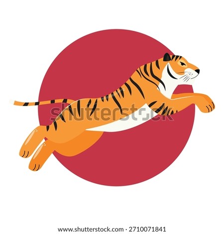 Jumping tiger illustration, wild predator leaping forward, orange stripes, white belly, flat vector animal art on red circle background