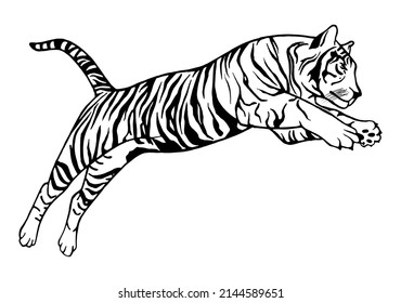 Jumping tiger - vector tattoo, hand-drawn illustration. Japanese chinese vector design set tiger 2022. New year 2022 chinese symbol. Vector illustration on a white background.