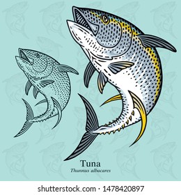 Jumping Tuna. Vector illustration with refined details and optimized stroke that allows the image to be used in small sizes (in packaging design, decoration, educational graphics, etc.)