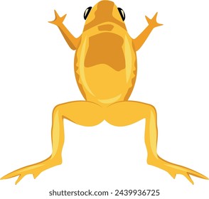 Jumping yellow frog. Colorful toad. Wild animal