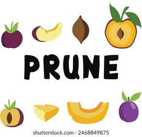 June 15 is National prune day Vector illustration. 
Good for banner, poster, greeting card, party card, invitation, template, advertising, campaign, and social media. 
