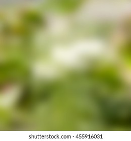 June bright nature green background. Vector. Poster Summer backdrop. Vector illustration