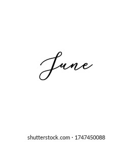 June. Calligraphy card, banner or poster graphic design handwritten lettering vector element.