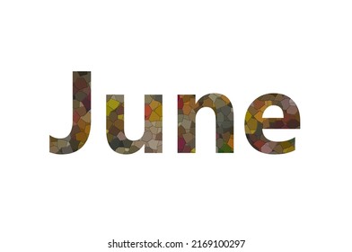 June Colorful Typography Text Banner Vector Stock Vector (Royalty Free ...