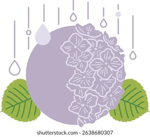 June flower hydrangea rainy season image frame