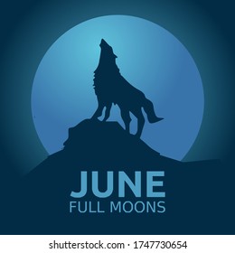 June full Moon Vector Illustration