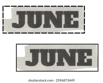 June. Handwritten month name on white background. Vector text element with black inscription. Modern brush calligraphy style 2025