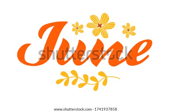 June Month Name Handwritten Lettering Flat Stock Vector (Royalty Free ...