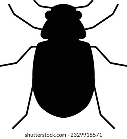 junebug arthropod beetle bug insect Glyph