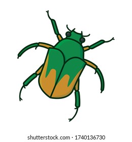 Junebug or June Beetle isolated vector illustration for Junebug Day on June 7th. Cotinis nitida color symbol.