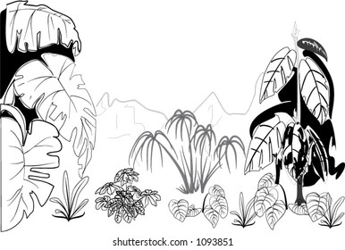jungle