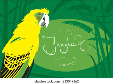 jungle