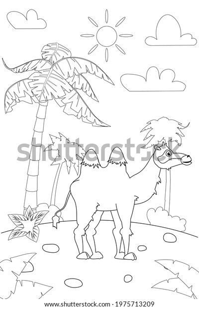 Jungle, Africa safari animal Camel coloring\
book edicational illustration for children. Vector white black\
cartoon outline\
illustration