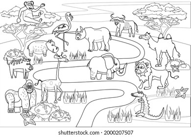 Jungle, Africa safari animals coloring book edicational illustration for children. Set cute lion, crocodile, monkey, elephant, camel, rhinoceros, gorilla, hyppo. Vector white black cartoon outline
