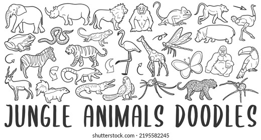 Jungle Animals Banner Doodle Icons. Hand Made Line Art. Zoo Clipart Logotype Symbol Design.