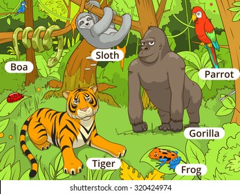 Jungle animals cartoon vector illustration