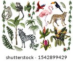 Jungle animals, flowers and trees isolated. Vector.