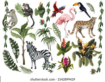 Jungle Animals, Flowers And Trees Isolated. Vector.