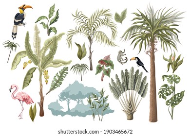 Jungle animals, flowers and trees isolated. Vector.