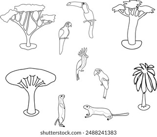 Jungle animals, palm trees, trees, exotic birds, parrots, cockatoos, isolated on a transparent background. Vector. Vector illustration. 