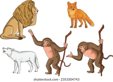 Jungle Animals Pictures Elephant Bull Wolf Fox Monkey Lio