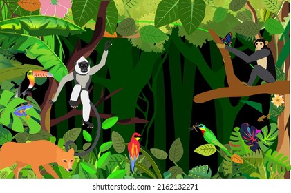 Jungle animals and plants template, deer, baboo and birds, vector illustration