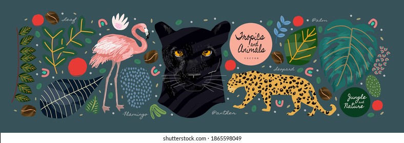 Jungle, animals and tropics. Vector illustrations of flamingo, panther, tiger, leopard, palm leaves, flowers and textures. Drawings for poster, background and cover