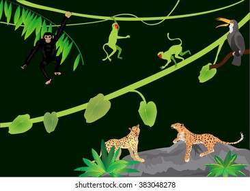 Jungle animals vector illustration leopards, jaguar, apes, sitting on tree,tree. Tropical plants black background. Tucan bird.