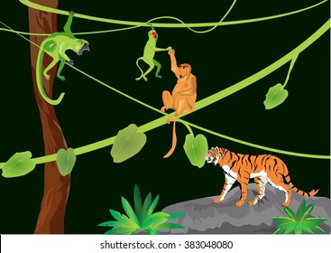 Jungle animals vector illustration tiger, apes, sitting on tree,tree. Tropical plants black background