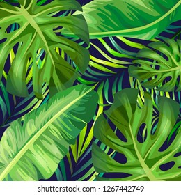 Jungle background.  Leaf vector illustration palma, monstera, banana. Exotic tropical fashionable print