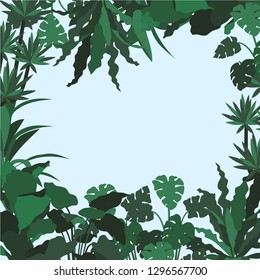 Jungle background with leaves monstera and palms