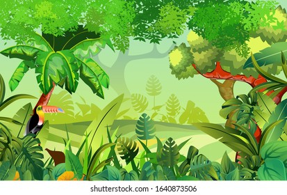 Jungle background, nature, vector illustration