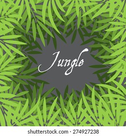 Jungle background with palm leaves vector illustration