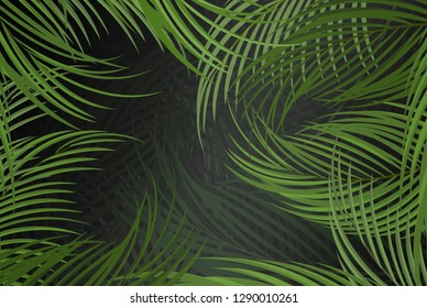 Jungle background with palms, vector illustration