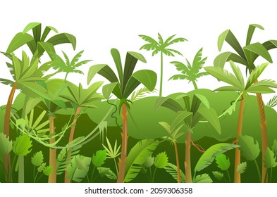 Jungle background. Plants rainforest. Beautiful green landscape with exotic trees and palms. Grass and lianas. Cute cartoon style. Isolated on white background. Vector