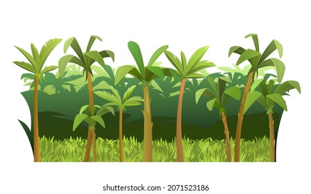 Jungle background. Plants rainforest. Beautiful green landscape with exotic trees and palms. Cute cartoon style. Isolated on white background. Vector.