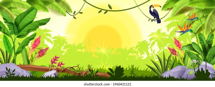 Jungle background, rainforest sunrise, nature wood landscape, toucan, banana leaf, tropical flowers, stone. Exotic environmental paradise view, palm trees outline, vine. Green Amazon jungle background