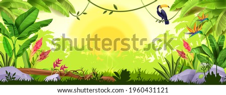 Jungle background, rainforest sunrise, nature wood landscape, toucan, banana leaf, tropical flowers, stone. Exotic environmental paradise view, palm trees outline, vine. Green Amazon jungle background