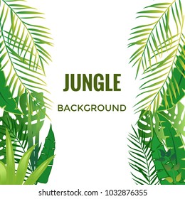 Jungle background. Jungle trees and plants. Vector illustration.