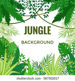 Jungle background. Jungle trees and plants. Vector illustration.