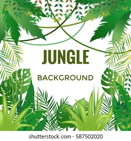 Jungle background. Jungle trees and plants. Vector illustration.