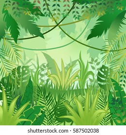 Jungle background. Jungle trees and plants. Vector illustration.