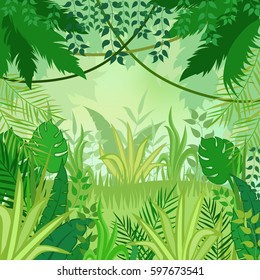 Jungle background. Jungle trees and plants. Vector illustration.