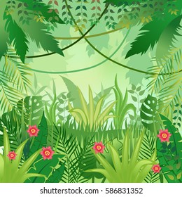 Jungle background. Trees and plants.Vector illustration