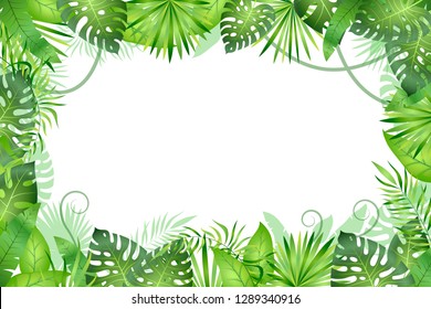 Jungle background. Tropical leaves frame. Rainforest foliage plants, green grass trees. Paradise african wildlife jungle vector frame
