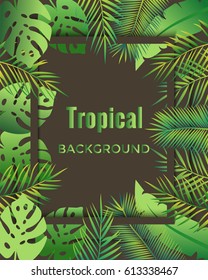 Jungle background. Tropical background.  Vector illustration.