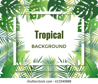 Jungle background. Tropical background.  Vector illustration.