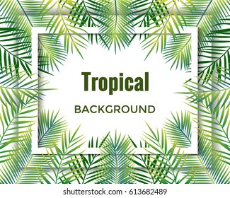 Jungle background. Tropical background.  Vector illustration.